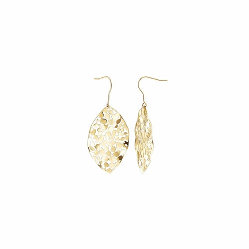 Gold Dangle Earrings